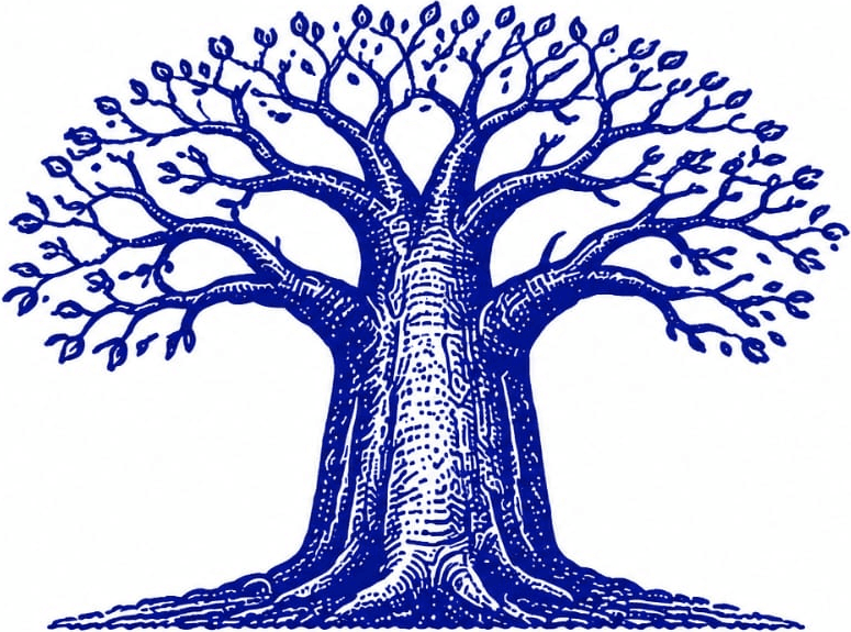 Baobab Loyalty
